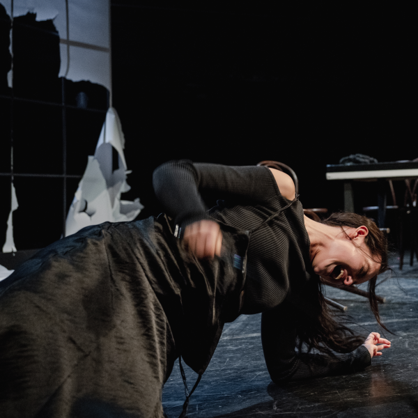 Čajka/ Divadlo Lab 2024